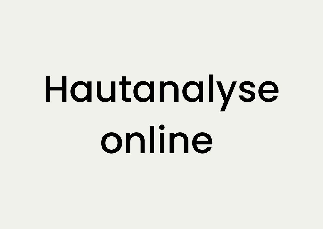Bold black text on light background reading 'Hautanalyse online'