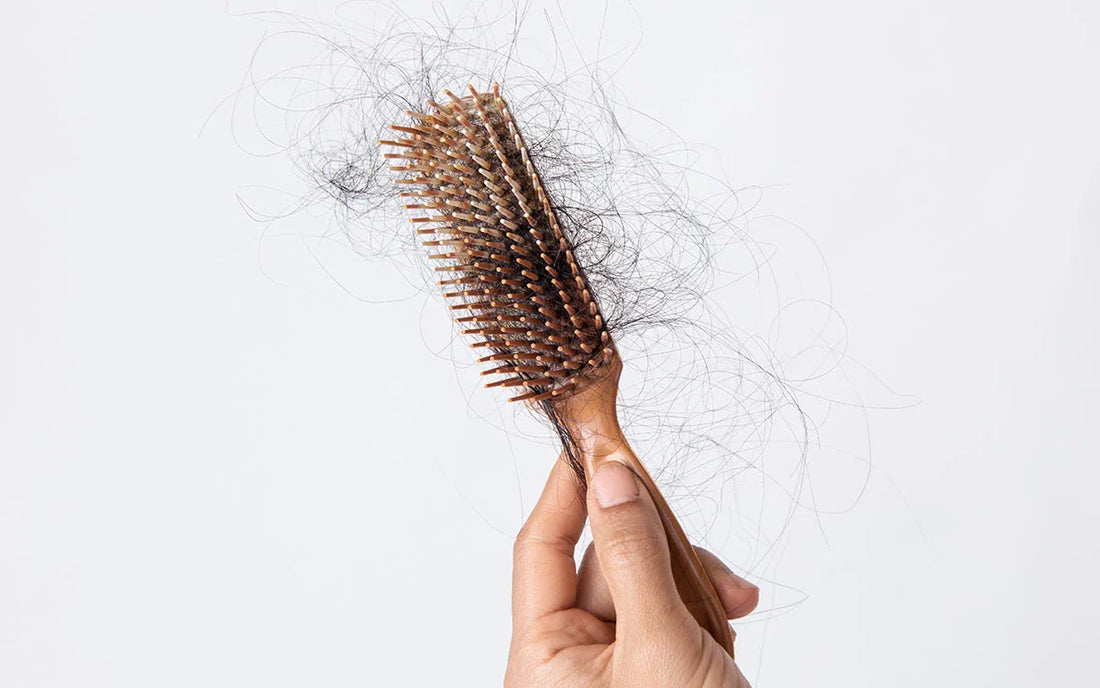 Hand holding wooden hairbrush filled with tangled, fallen hair strands on white background